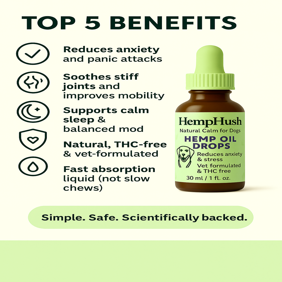 Transform Stress into Serenity for Your Beloved Pet